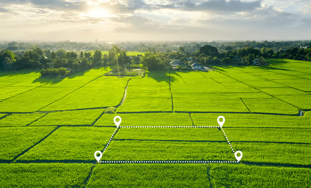 Lush green agricultural farm land at sunrise with digital white plot boundary markers. Secure highly fertile farm plots and secure investments in Hapur and Meerut with the most Trusted Property Dealer in Delhi NCR.
