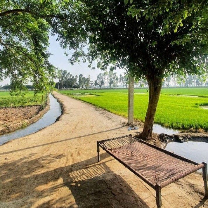 Lush green agricultural farm land with a dirt path and a traditional woven cot. As part of our Real Estate Services in Delhi NCR, we offer highly fertile, legally verified agricultural land and farm plots for sale in Hapur, Meerut, and Gajraula.